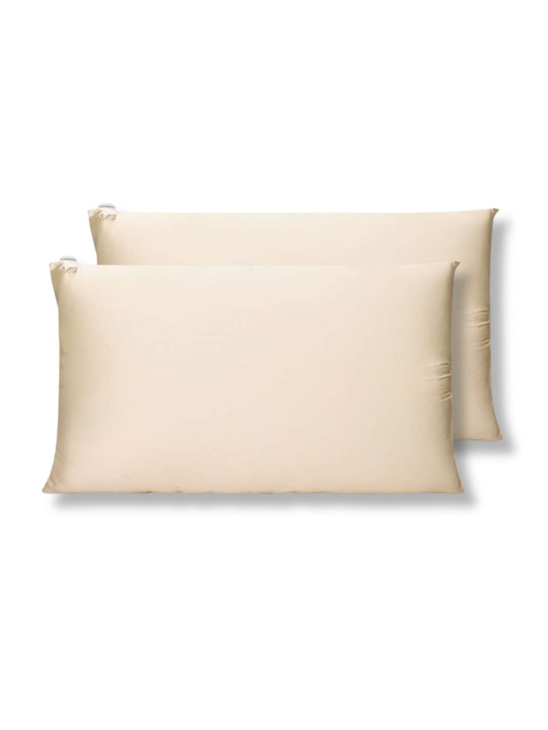 Satin Pillowcase set, nude pillowcase, Veganboost, Nourished