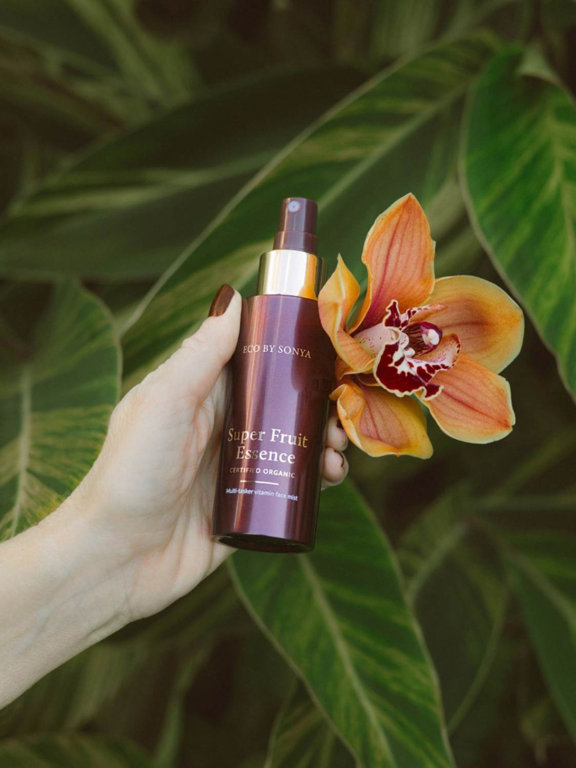 Super Fruit Essence, toner skincare, Eco Tan, Nourished